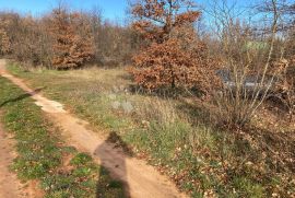 Zemljište na traženoj lokaciji!, Marčana, Zemljište