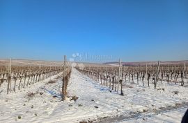 Kuća za odmor - obnovljivi izvori energije, Kneževi Vinogradi, Famiglia