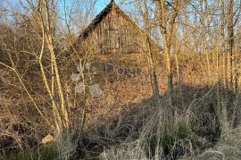 Staro seosko imanje nadomak Dugog Sela, Brckovljani, House