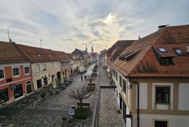 Ekskluzivna novogradnja u centru Varaždina, Varaždin, Appartement