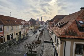 Ekskluzivna novogradnja u centru Varaždina, Varaždin, Appartment