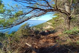 PRODAJA POLJOPRIVREDNO/GRAĐEVNOG ZEMLJIŠTA SA NEOMETANIM POGLEDOM NA MORE, Omiš, Земля