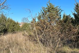 Kombinirano građevinsko i poljoprivredno zemljište, Marčana, Terra