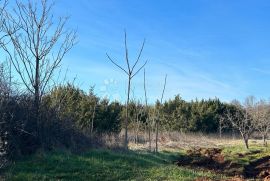 Kombinirano građevinsko i poljoprivredno zemljište, Marčana, Terra