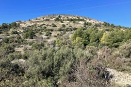 Trogir, Donji Seget, kuća sa pogledom na more, Seget, Famiglia