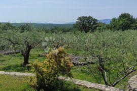 Samo u Dogmi -Kuća u unutrašnjosti Krka s imanjem, Krk, Haus