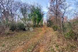 Poljoprivredno zemljište sa vodom Marčana, Marčana, Terra