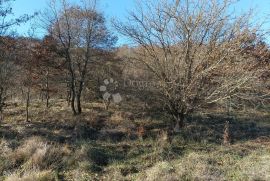 Poljoprivredno zemljište u okolici Kanfanara, Kanfanar, Tierra