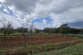 DEBELJAK KOD SUKOŠANA - GRAĐEVINSKO ZEMLJIŠTE 870m2, Sukošan, Terra