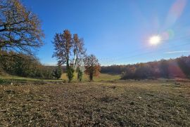 Prostrana parcela juzne orjentacije na traženoj lokaciji, Brtonigla, أرض