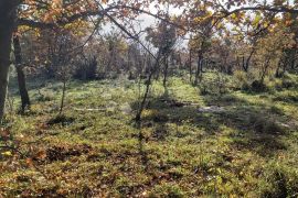 KOMBINIRANO ZEMLJIŠTE SA OTVORENIM POGLEDOM, Marčana, Земля