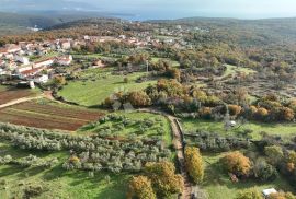 KOMBINIRANO ZEMLJIŠTE SA OTVORENIM POGLEDOM, Marčana, Земля