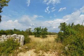 HITNO, SNIŽENO POLJOPRIVREDNO ZEMLJIŠTE 6338 m², Kanfanar, Land