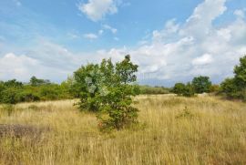 HITNO, SNIŽENO POLJOPRIVREDNO ZEMLJIŠTE 6338 m², Kanfanar, Land