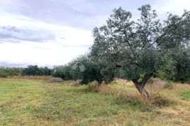 ŠTINJAN – ravna i uredna pravokutna parcela, Pula, Land