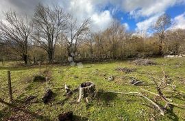 GOSPODARSKO IMANJE SMILJAN 2800M2 prilika !!!, Gospić - Okolica, Ev