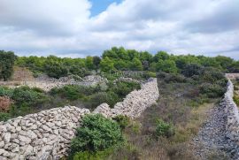 KANICA - POLJOPRIVREDNO ZEMLJIŠTE 50 m OD MORA, Rogoznica, Terrain