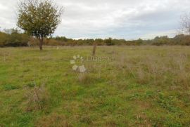 Veliko građevinsko zemljište s prekrasnim pogledom, Žminj, Land