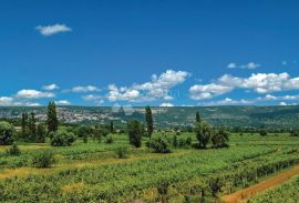 PREKRASNA VILA S BAZENOM, Zmijavci, Kuća