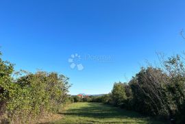 Kombinacija građevinskog i poljoprivrednog zemljišta, Marčana, Terra