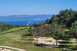 KUĆA SA VELIKIM IMANJEM I DVA POMOĆNA OBJEKTA, Labin, House