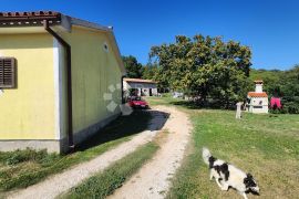 KUĆA SA VELIKIM IMANJEM I DVA POMOĆNA OBJEKTA, Labin, House