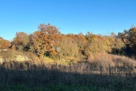 Građevinsko zemljište u središtu Istre, Kanfanar, Tierra