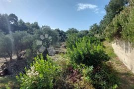 Zemljište okruženo prirodom i maslenicima u blizini centra, Rab, Terreno