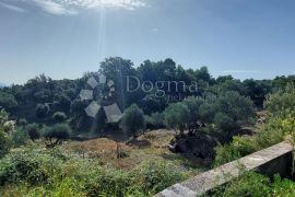 Zemljište okruženo prirodom i maslenicima u blizini centra, Rab, Terreno