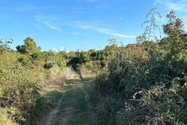 GRAĐEVINSKO ZEMLJIŠTE CRNO - VIŠE OPCIJA KUPNJE !!!, Zadar, Land