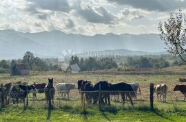 KUĆA NA OSAMI U NETAKNUTOJ PRIRODI POGLED NA VELEBIT, Lovinac, Casa