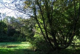 Veprinac - veliki teren a dobroj lokaciji !, Opatija - Okolica, Terrain