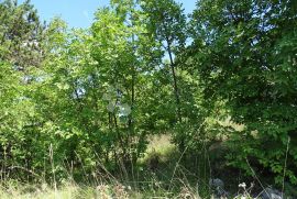 Cernik - teren za obiteljsku kuću, Čavle, Tierra