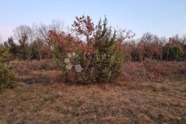 Prostrano zemljište za uživanje u prirodi, Svetvinčenat, Земля