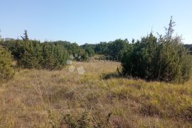 Veliko poljoprivredno zemljište u okolici Pazina, Pazin - Okolica, أرض