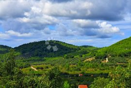 Poljoprivredno zemljište Smokvica, Smokvica, Terra