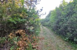 VELIKO POLJOPRIVREDNO ZEMLJIŠTE, Marčana, Land