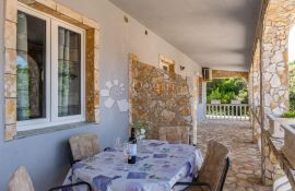 Apartmanska kuća sa 6 apartmana, Vir, Famiglia