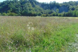 Poljoprivredno zemljište u okolici Butonige, Pazin - Okolica, أرض