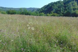 Poljoprivredno zemljište u okolici Butonige, Pazin - Okolica, أرض