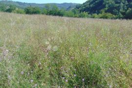 Poljoprivredno zemljište u okolici Butonige, Pazin - Okolica, أرض