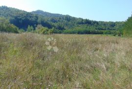 Poljoprivredno zemljište u okolici Butonige, Pazin - Okolica, أرض