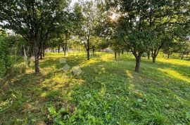 STAMBENO POSLOVNA NEKRETNINA SA 1000M2 GRAĐEVINSKOG ZEMLJIŠTA !!, Gospić, Ev