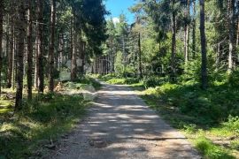 SEOSKO IMANJE 2KUĆE 3 POMOĆNA OBJEKTA 10000M2 U SRCU PRIRODE KLANAC, Gospić - Okolica, Kuća