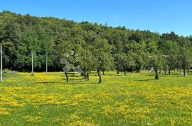 Građevinsko zemljište u oazi prirode selo Mušaluk SNIŽENO DO 1.10., Gospić - Okolica, Zemljište