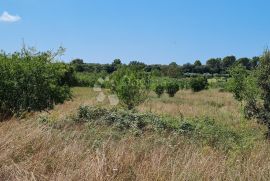 Zemljište na traženoj lokaciji!, Pula, Land