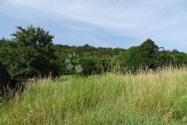 Ročko Polje - Pahori, poljoprivredni teren, Buzet, Zemljište