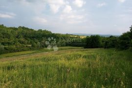 NOVA LJESKOVICA odlično zemljište na rubu građevinske zone, Čaglin, Arazi