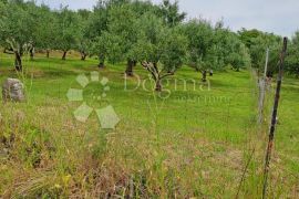 Građevinsko zemljište 1459 m2 Radovin-Ražanac, Ražanac, Terreno