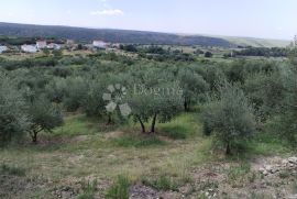 Građevinsko zemljište 1459 m2 Radovin-Ražanac, Ražanac, Terreno